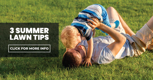 3 Summer Lawn Tips