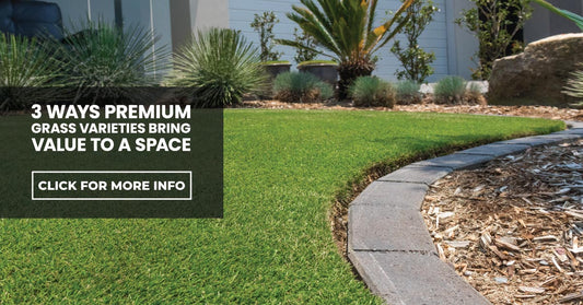 3 ways premium turfgrass varieties bring value to a space
