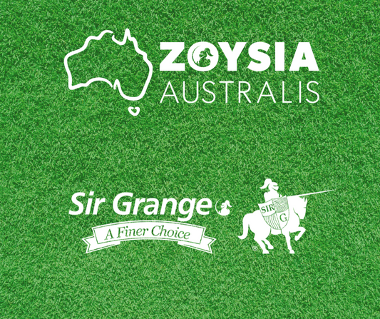 Which is the Best Zoysia Grass?