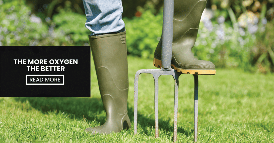 Blog - Cover Image (Lawn Aeration - It Is Time To Help Your Lawn Breathe)