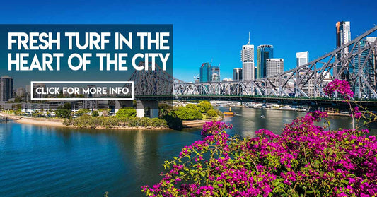 Fresh Turf at the heart of the city