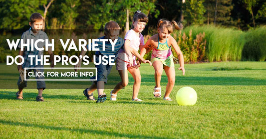 Turf Tips: What turf variety do the best in the industry use?