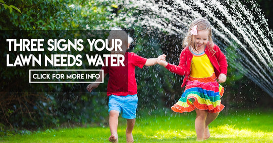 Three signs your lawn needs water