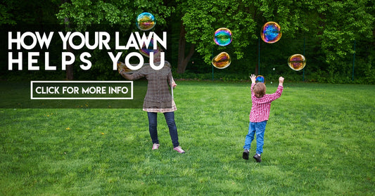 How Your Lawn Helps You