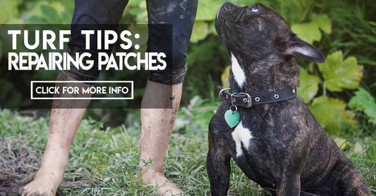 Turf Tips Repairing Patches