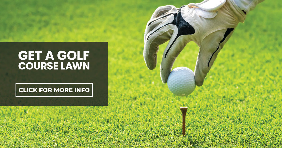 Get a golf course lawn