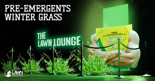 Pre - Emergent and winter grass by Lawn Solutions Australia