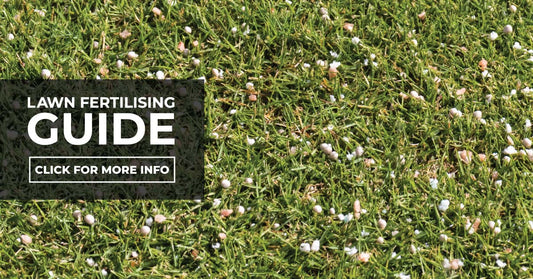 Lawn Fertilising Guide