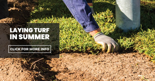 Laying Turf in Summer