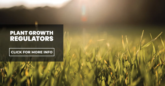 Plant Growth Regulators