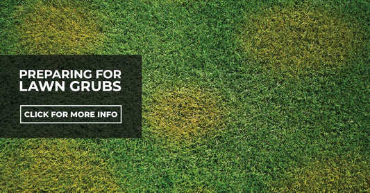Preparing for lawn grubs