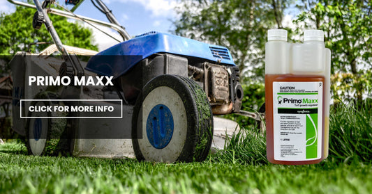 Primo Maxx: Product Spotlight