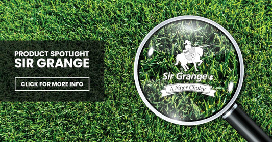 Product Spotlight Sir Grange