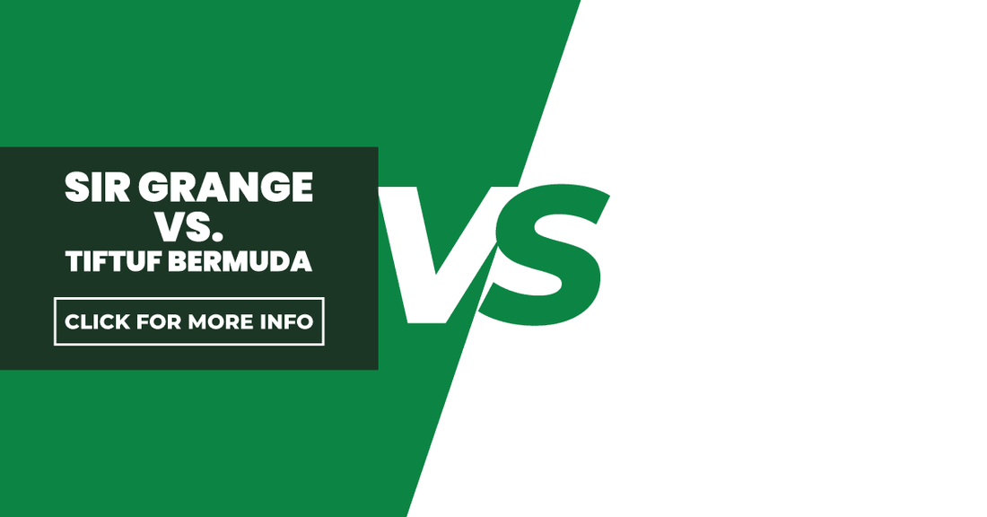 Sir Grange Zoysia Vs. TifTuf Bermuda