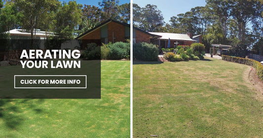Spring Lawn Renovation: Aerating Your Lawn