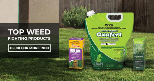 Top Weed Fighting Products