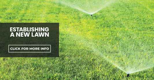 Establishing a new lawn
