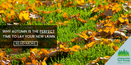 Laying turf in autumn