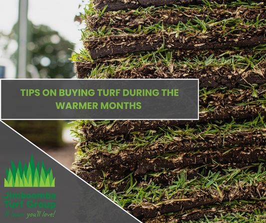 Turf Tips: Buying turf in warm weather