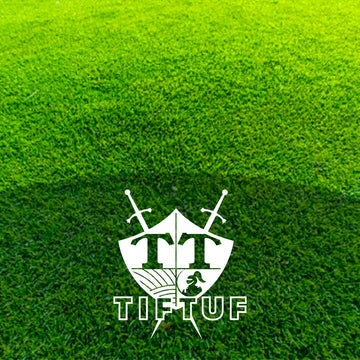 Turf - TifTuf Bermuda