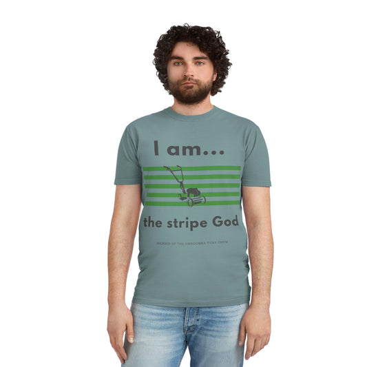 Unisex Faded Shirt - I am the stripe God