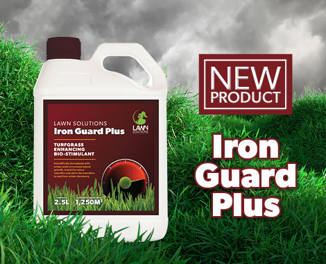 Lawn Solutions Iron Guard Plus 2.5Ltr