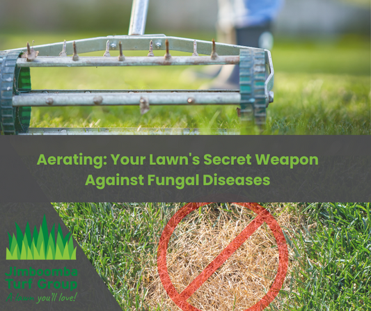 Aerating: Your Lawn's Secret Weapon Against Fungal Diseases