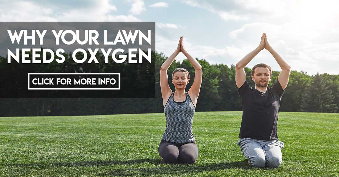 Why your lawn needs oxygen