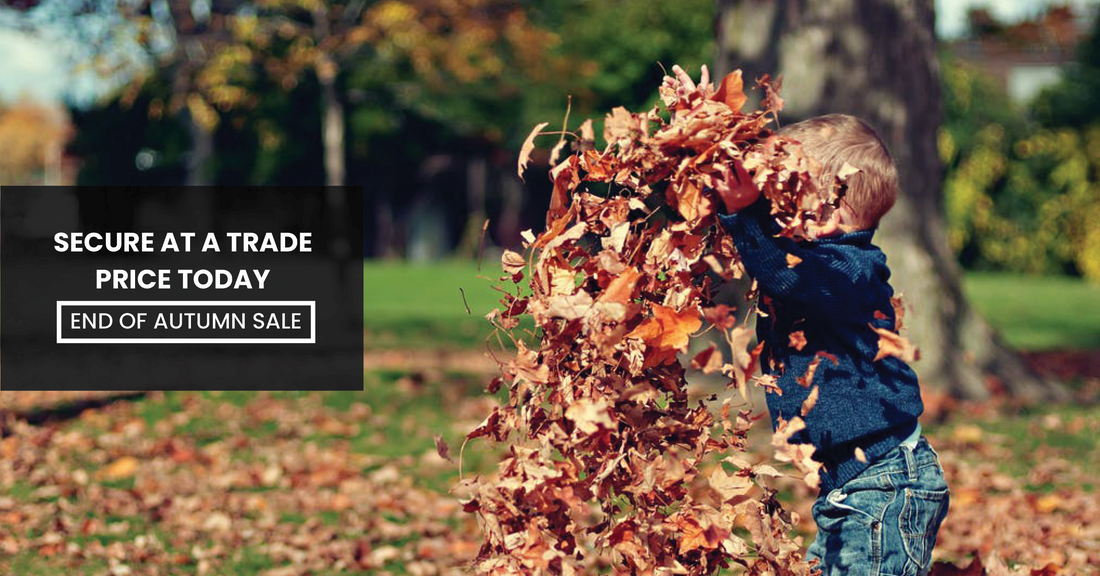 Blog Image - Lead Image (End Of Autumn Sale) WEB-VERSION