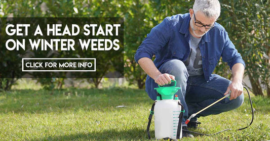 Get A Head Start On Winter Weeds