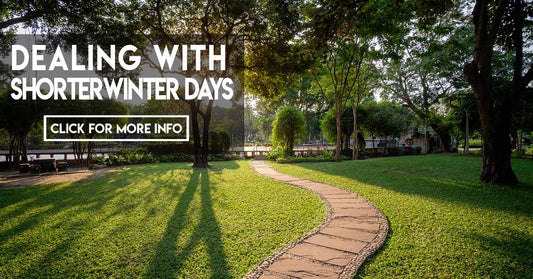 Dealing with shorter winter days