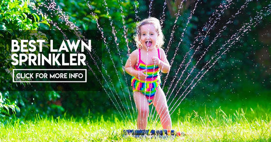 Best Lawn Sprinkler & Irrigation System