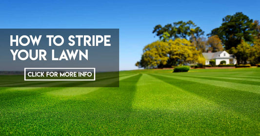 stripe lawn