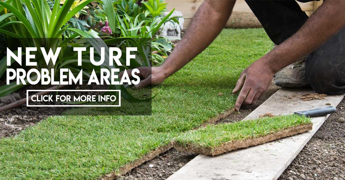 Turf Ribbing Problem New turf problem areas – Jimboomba Turf Group