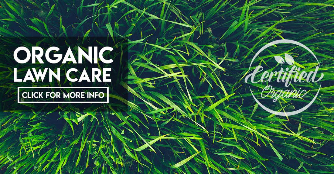 Organic lawn care