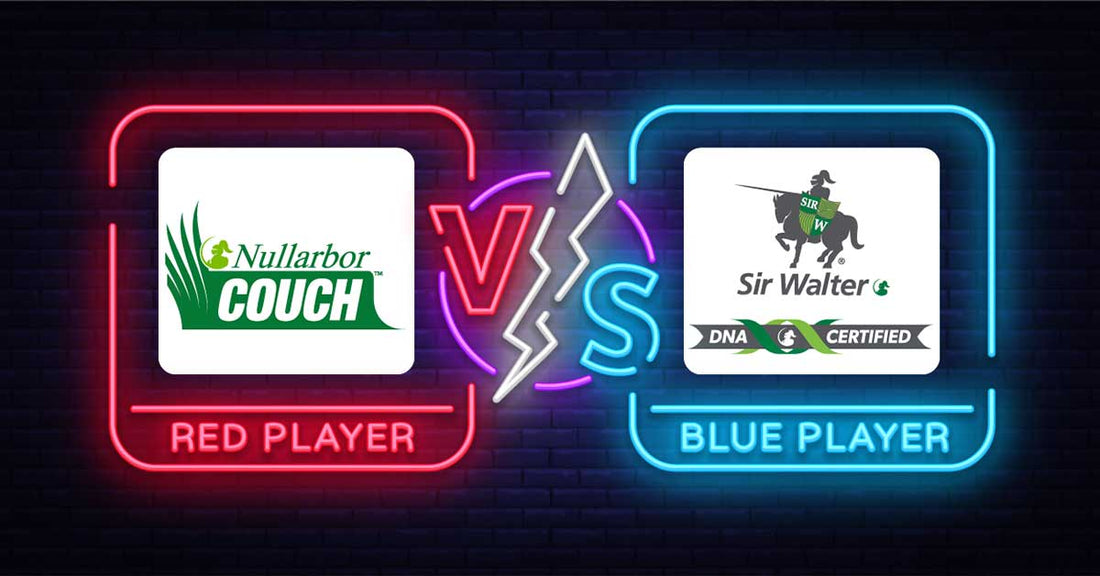 Nullarbor Couch vs Sir Walter Buffalo