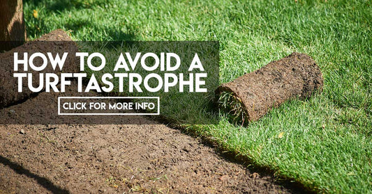 How to avoid a turftastrophe