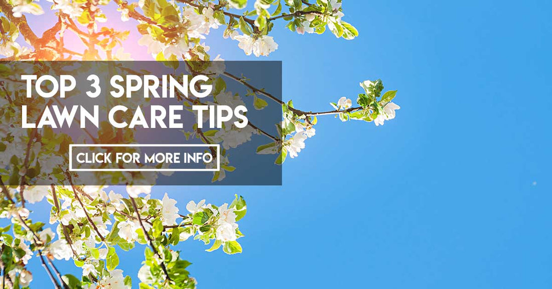 Top 3 Spring lawn care tips