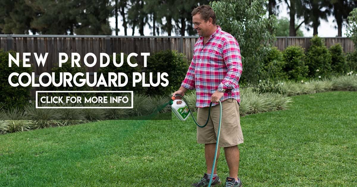 New product alert - Colourguard PLUS – Jimboomba Turf Group