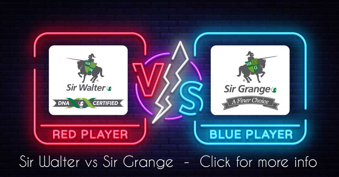 Sir Walter Buffalo vs Sir Grange