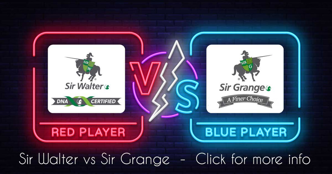 Sir Grange vs Sir Walter: Which is Your Turf in Shining Armour?