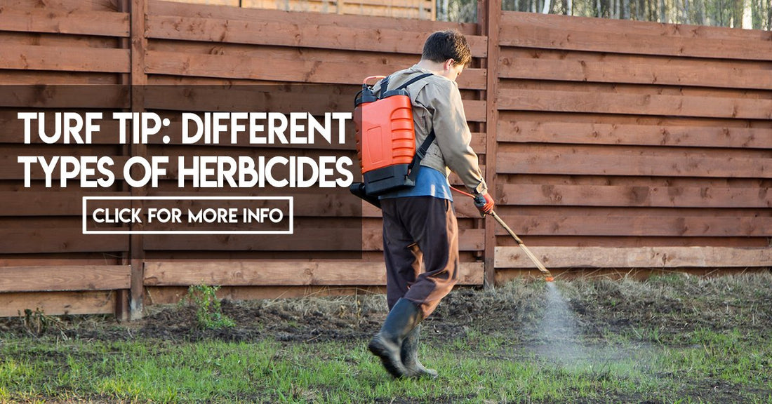 The difference between Selective & Non-selective Herbicides