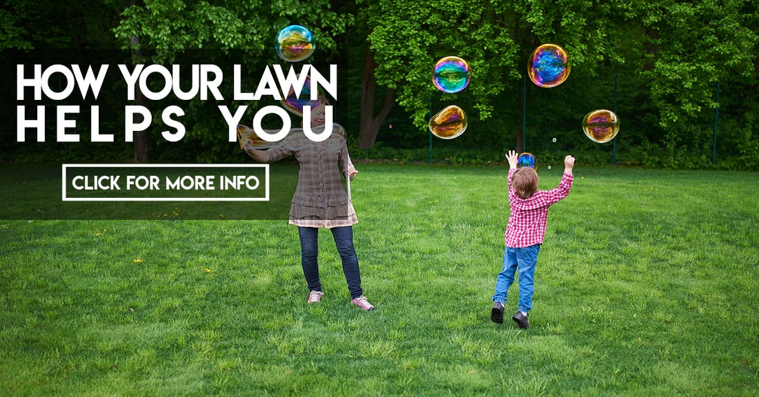 How Your Lawn Helps You