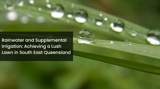 Rainwater and Supplemental Irrigation: Achieving a Lush Lawn in South East Queensland