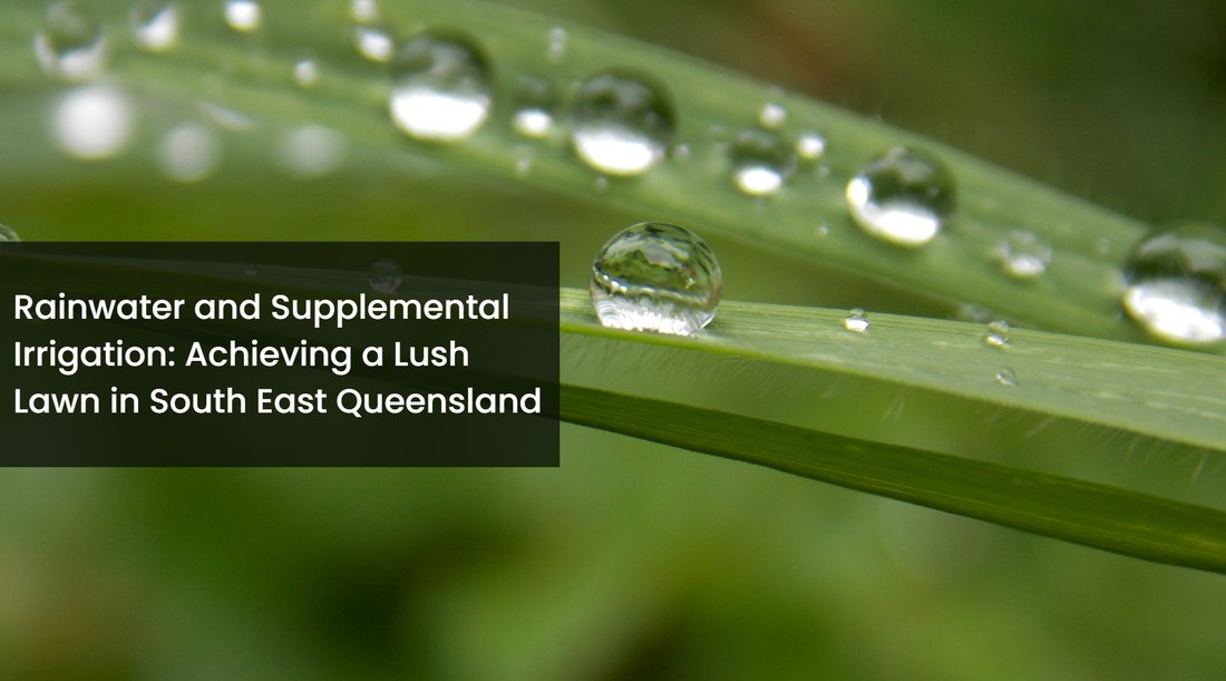 Rainwater and Supplemental Irrigation: Achieving a Lush Lawn in South East Queensland
