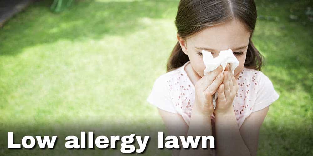 Turf Tips: Low allergy lawn