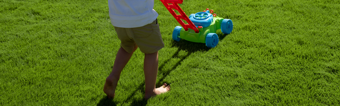 Instant Turf vs. Hydroseeding: Cost & Benefits