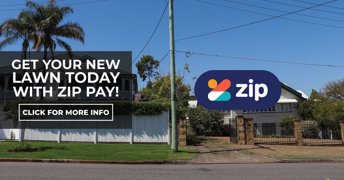 Get your new lawn today with zipPay!