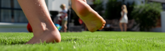 How to Prepare Your Queensland Lawn in Winter for Spring Growth