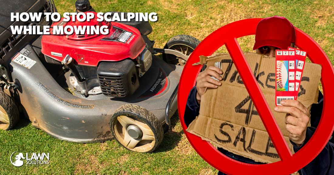 How to Stop Scalping While Mowing Proud members of Lawn Solutions Australia